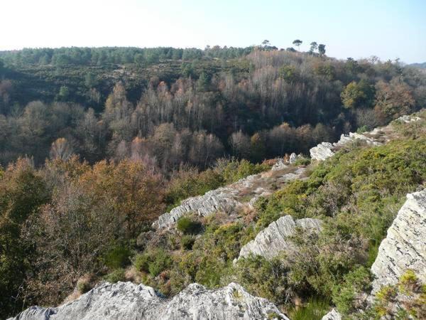 Photo of Outdoor in Pipriac