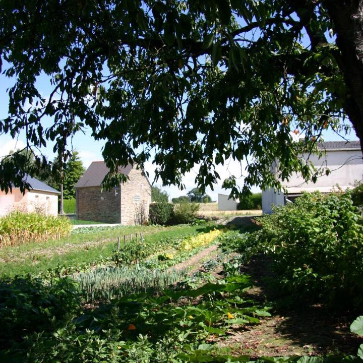 Photo of Buildings in Pipriac