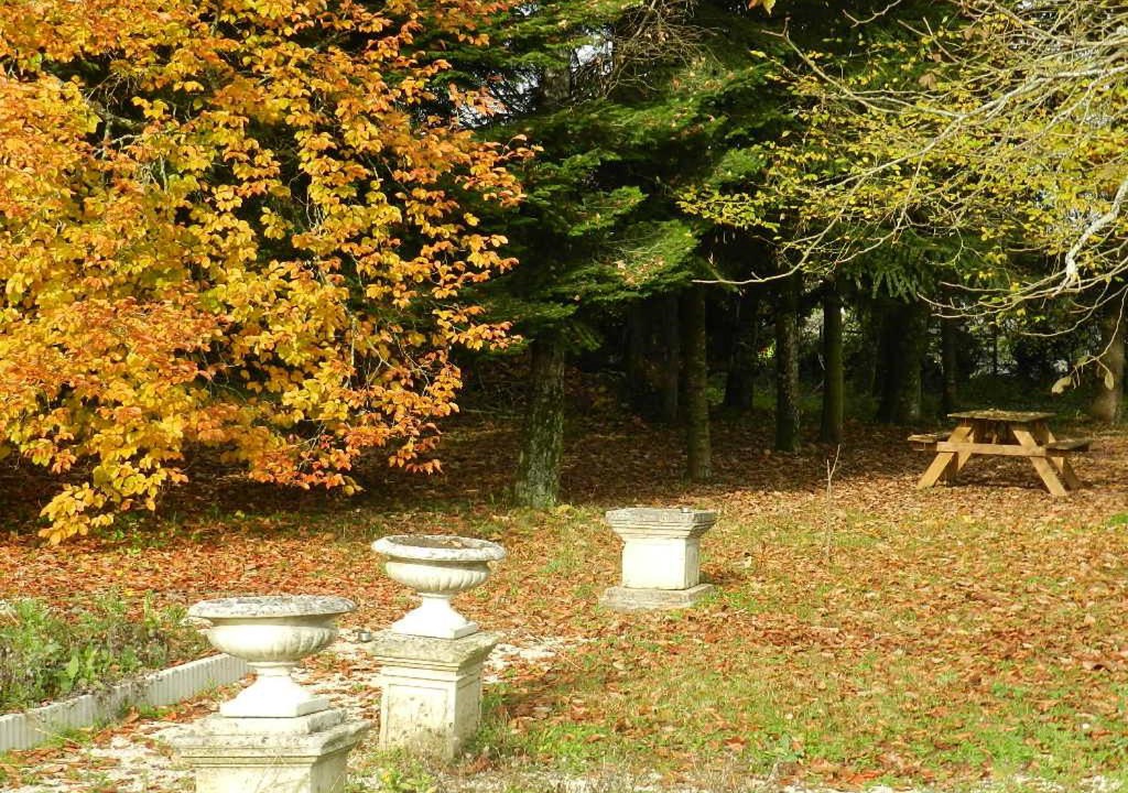 Photo of Others in Dammarie-sur-Saulx