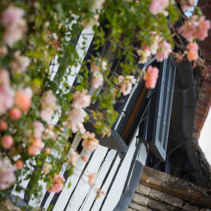 Photo of Others in Halford