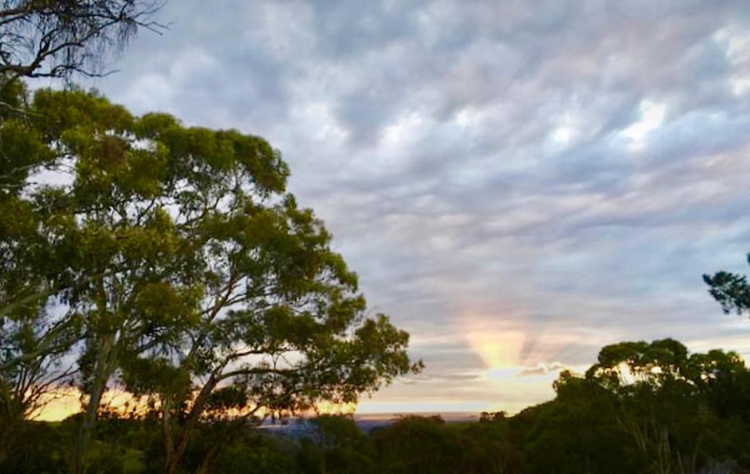 Photo of Others in Houghton