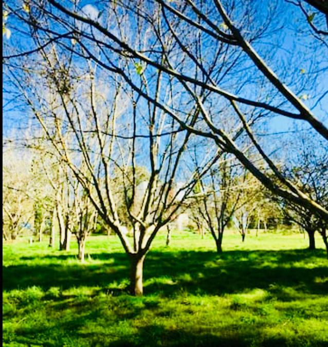 Photo of Others in Houghton