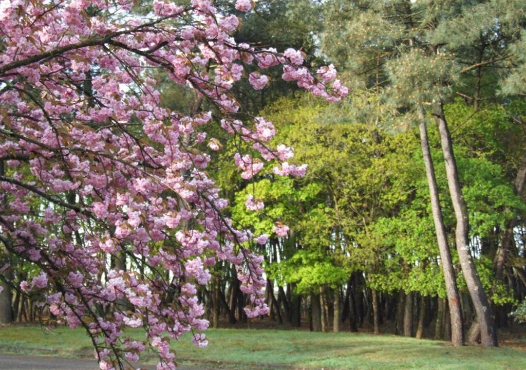 Photo of Others in Langon