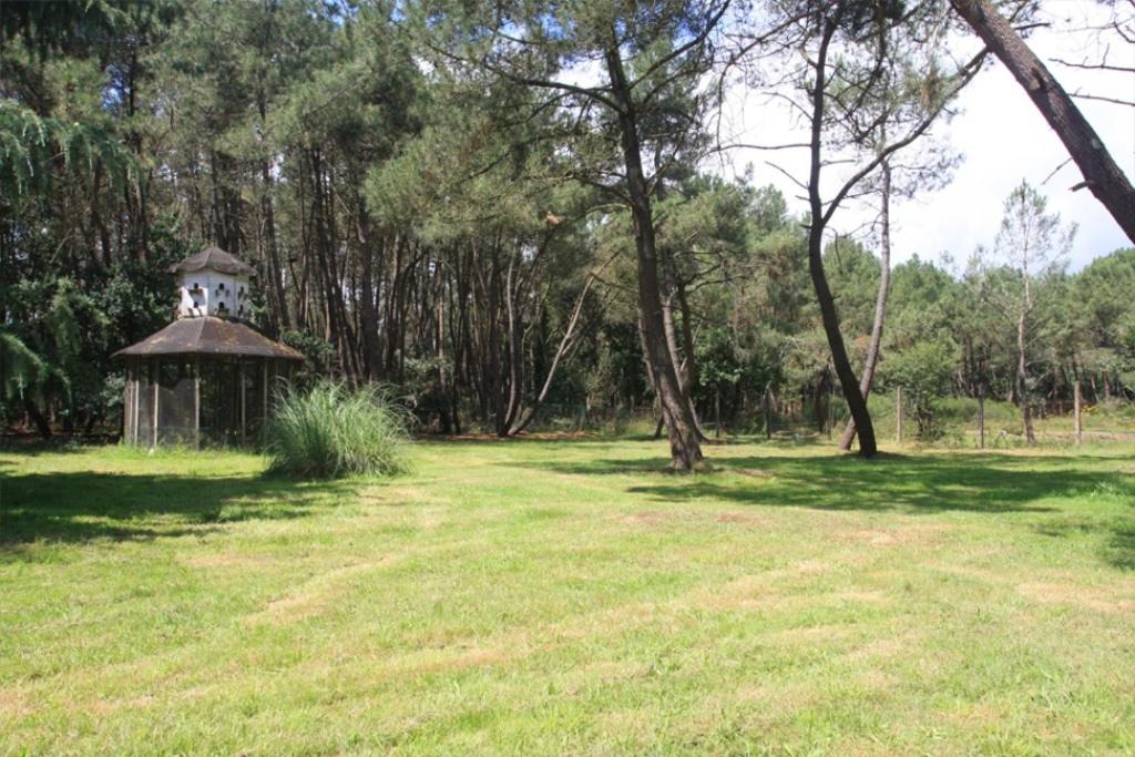 Photo of Others in Langon