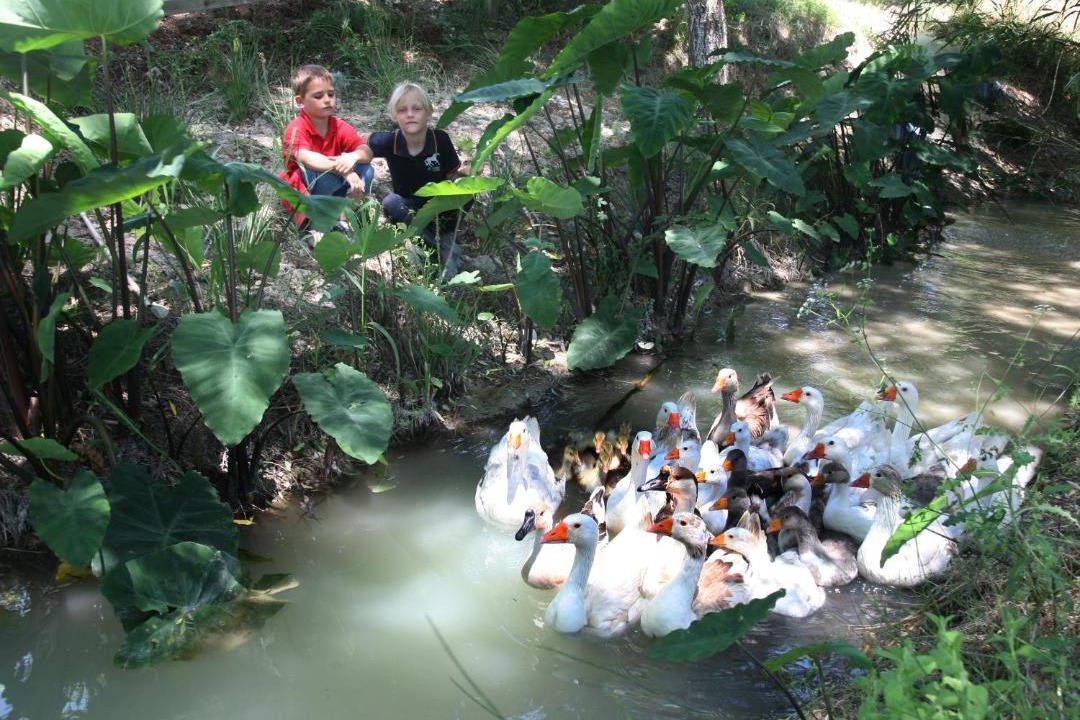 Photo of Others in Llutxent
