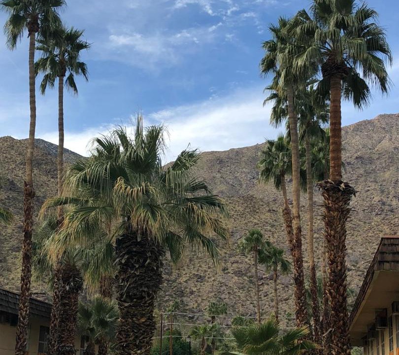 Photo of Others in Tahquitz River Estates