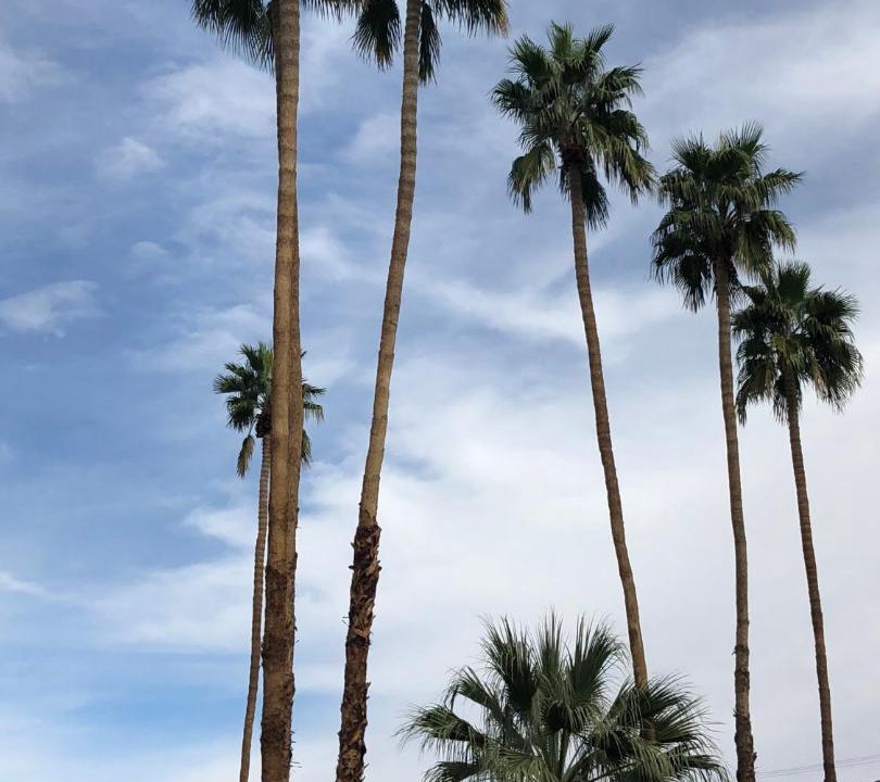 Photo of Others in Tahquitz River Estates
