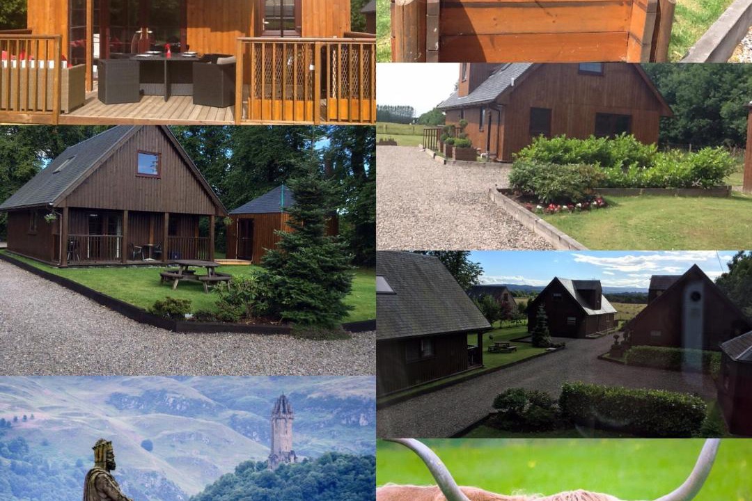 Photo of Others in Tillicoultry