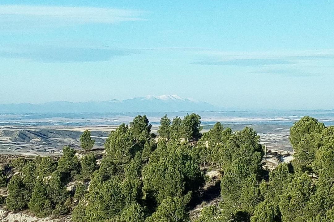 Photo of Outdoor in Lecinena