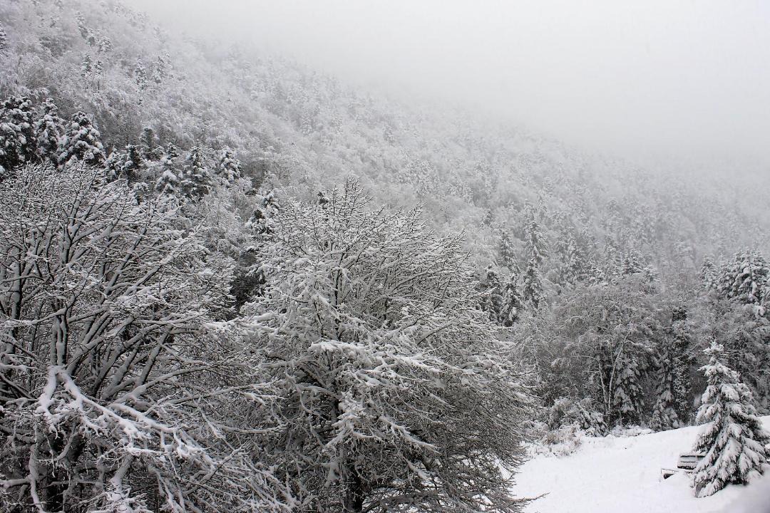 Photo of Others in Aragnouet