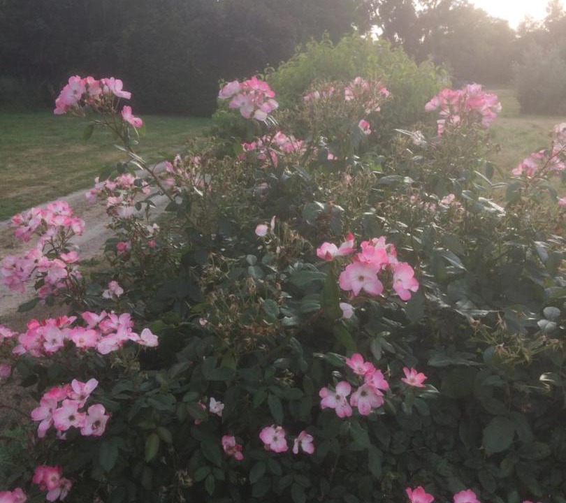 Photo of Others in Chambellay