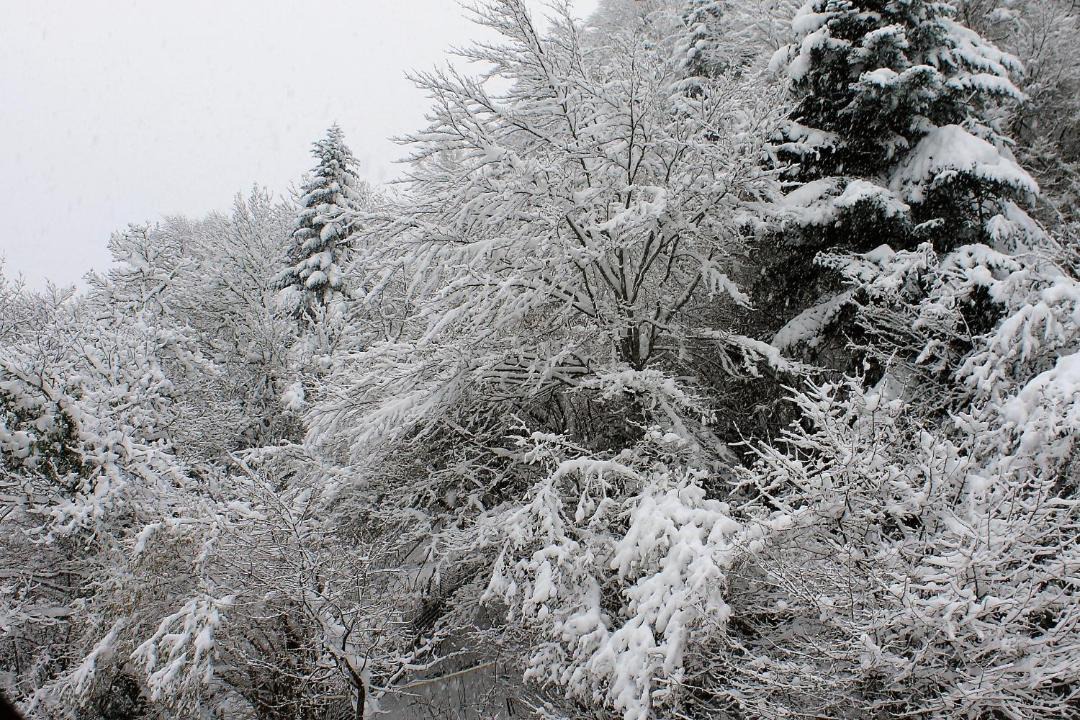 Photo of Others in Aragnouet
