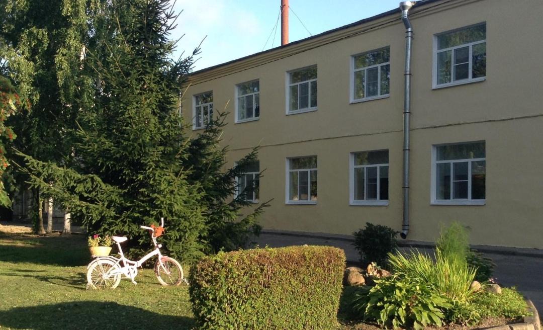 Photo of Buildings in Petrodvortsovy District