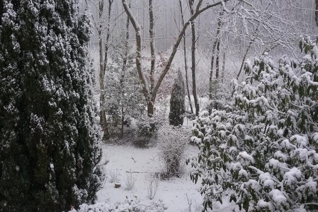 Photo of Others in Cherreau