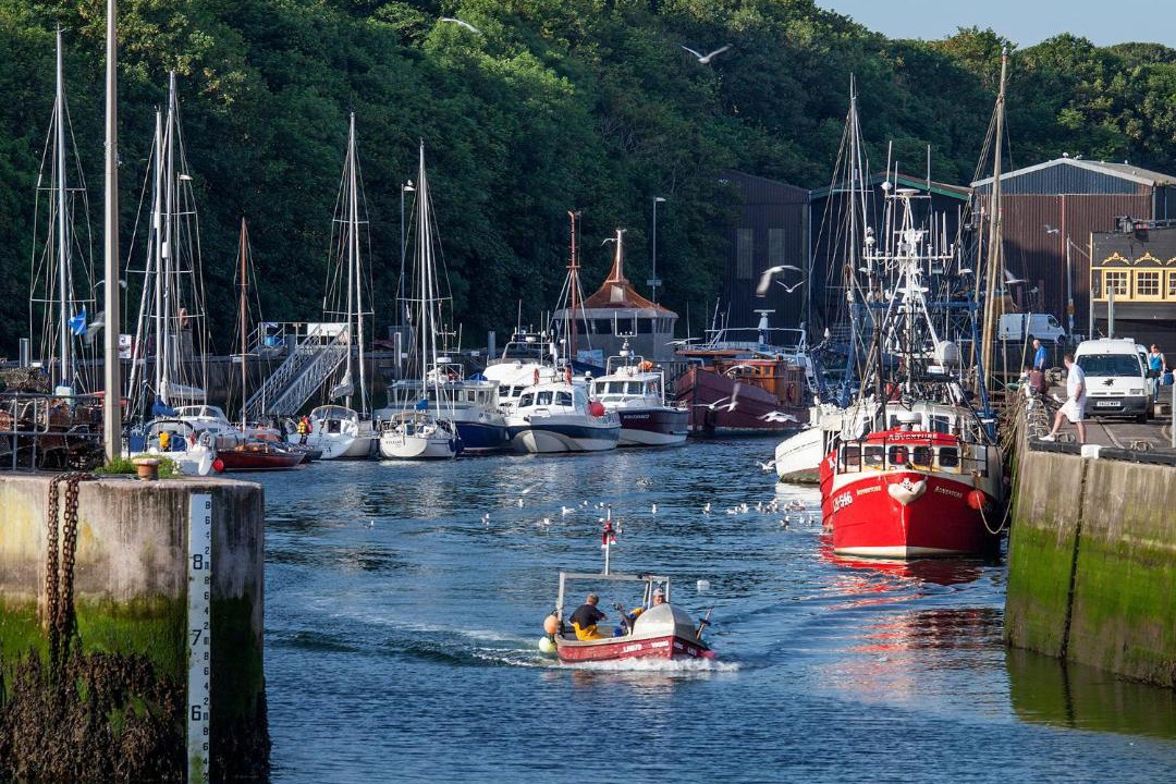 Photo of Others in Eyemouth