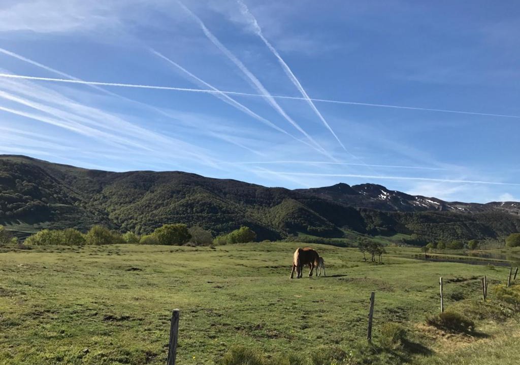 Photo of Others in Le Claux