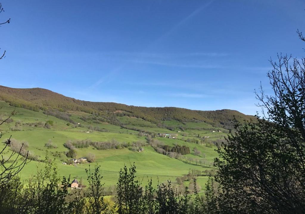 Photo of Others in Le Claux