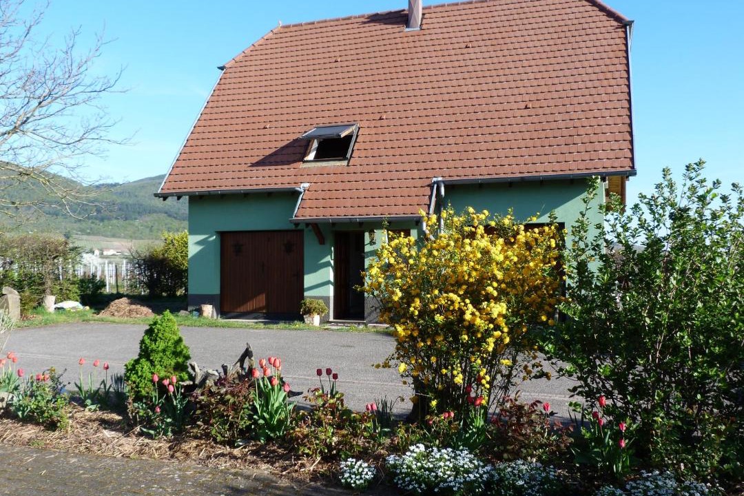 Photo of Buildings in Scherwiller