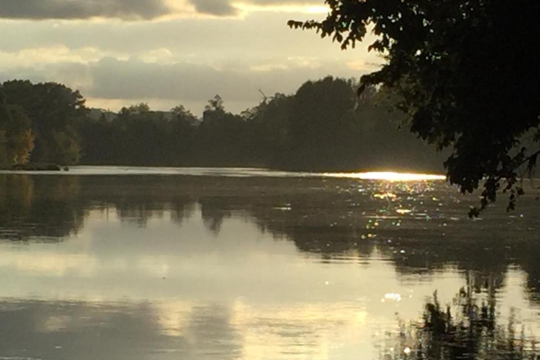 Photo of Others in Saint-Seurin-de-Prats