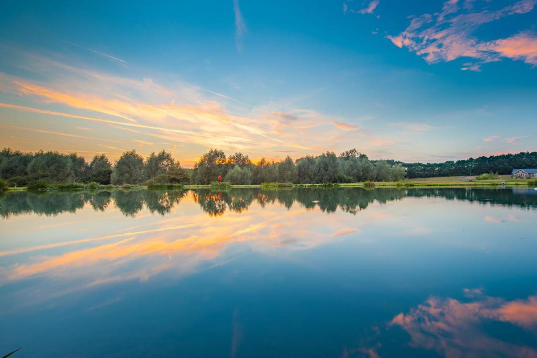 Photo of Others in Pattiswick