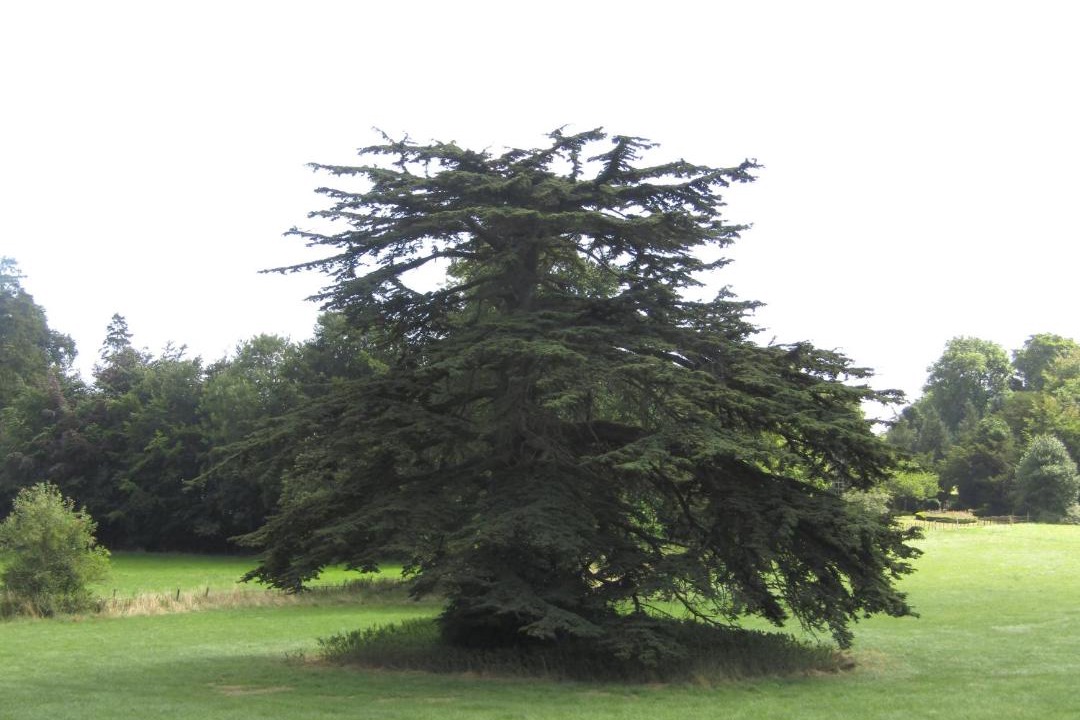 Photo of Outdoor in Bishopstrow