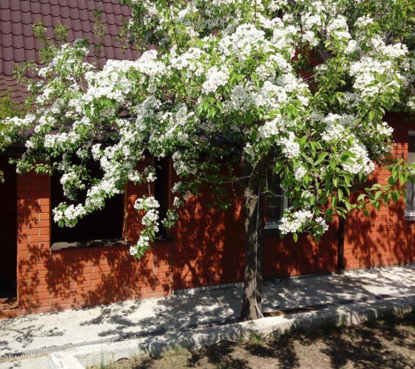 Photo of Others in Nizhny Novgorod