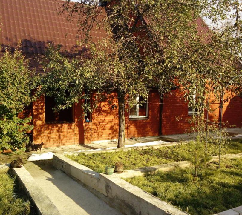 Photo of Others in Nizhny Novgorod