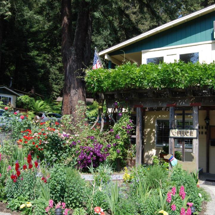 Photo of Buildings in Guerneville