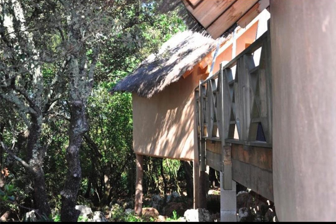 Photo of Others in Labastide-de-Virac