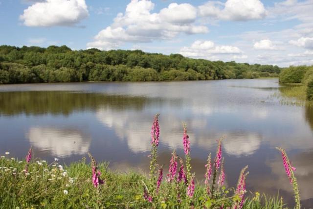 Photo of Outdoor in Feins