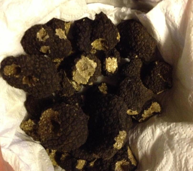 Photo of Others in Marville