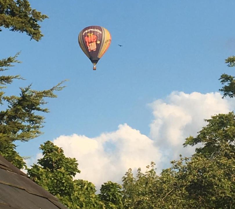 Photo of Others in Kelston