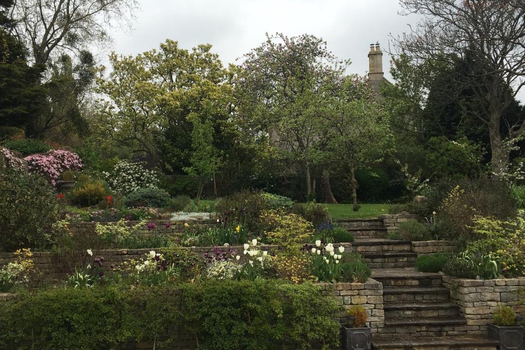 Photo of Outdoor in Kelston