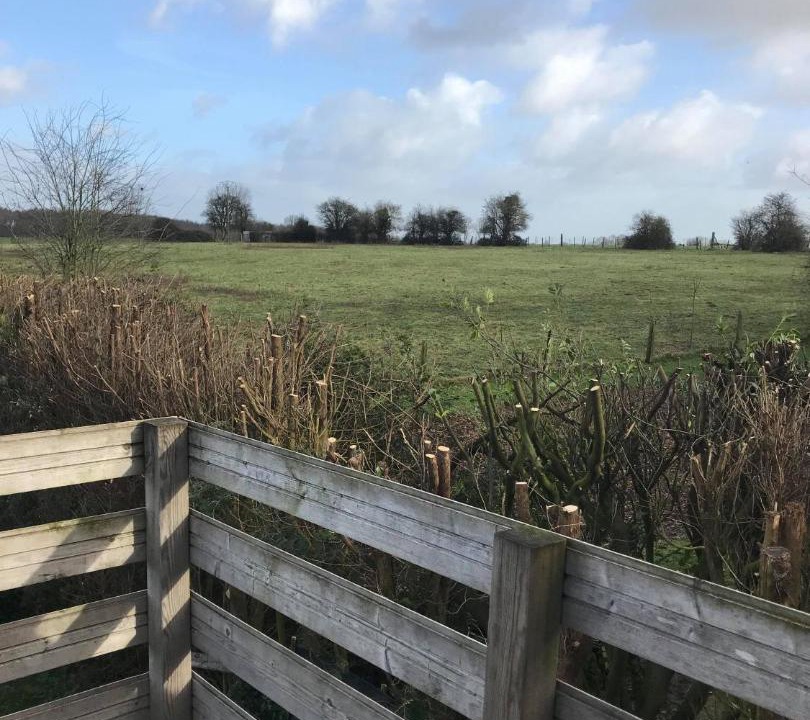 Photo of Others in Nibas