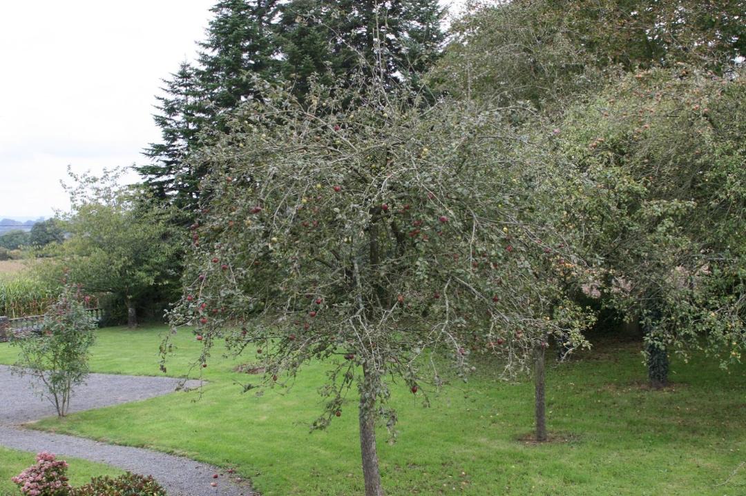 Photo of Others in Moyon-Villages