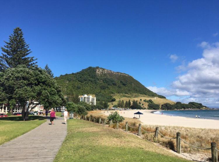 Photo of Others in Mount Maunganui
