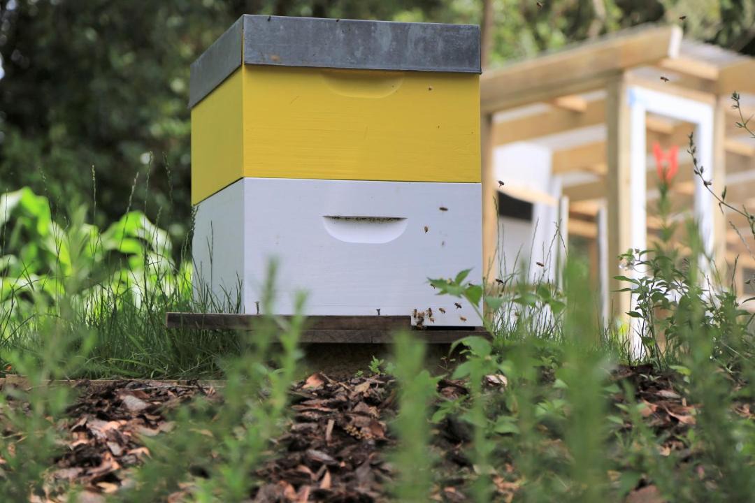 Photo of Buildings in Stratford