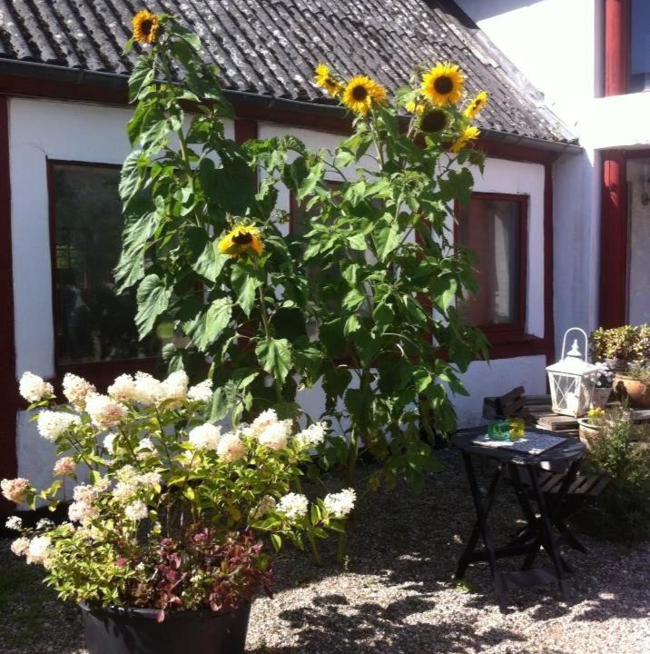 Photo of Others in Togeholt