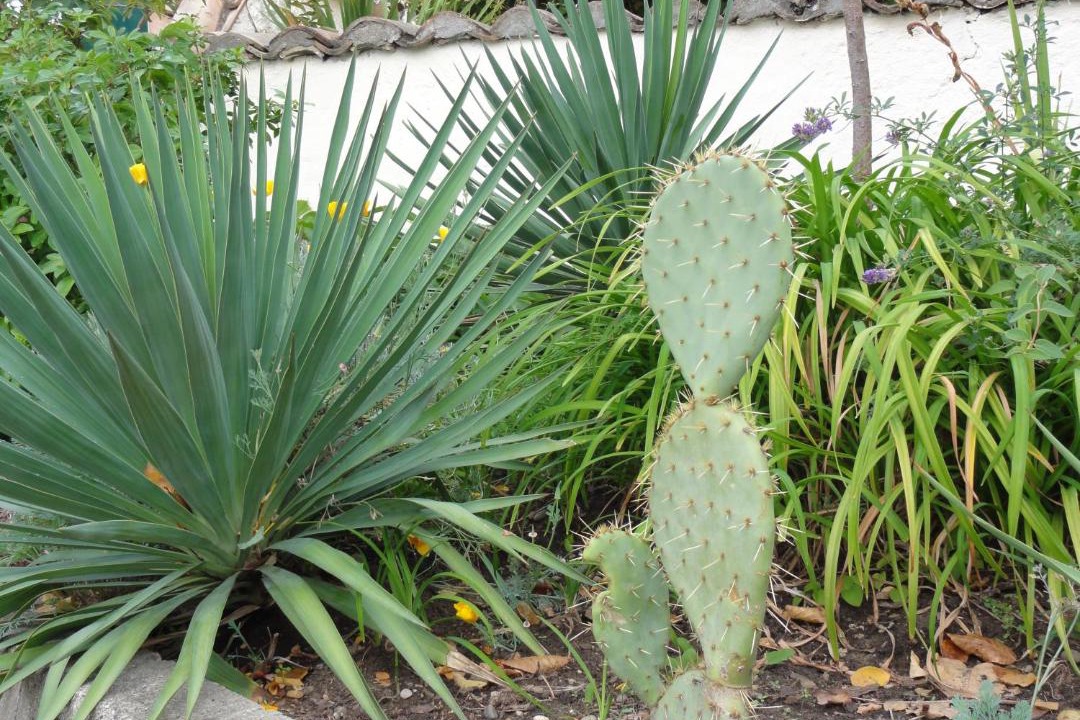 Photo of Others in Granges-les-Beaumont