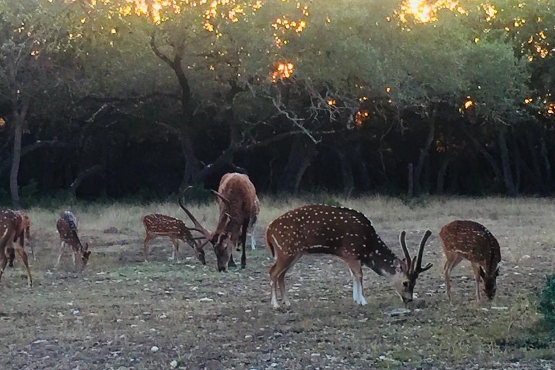 Photo of Others in Pipe Creek