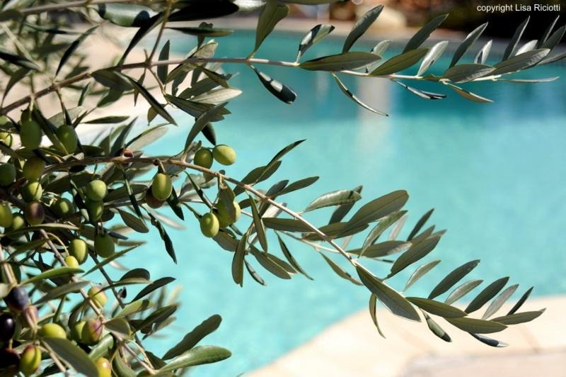 Photo of Others in Creissan