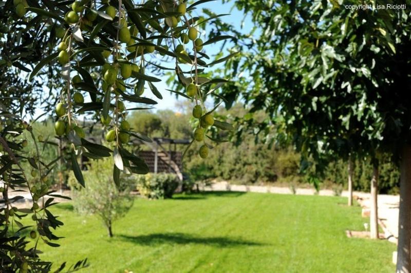 Photo of Others in Creissan