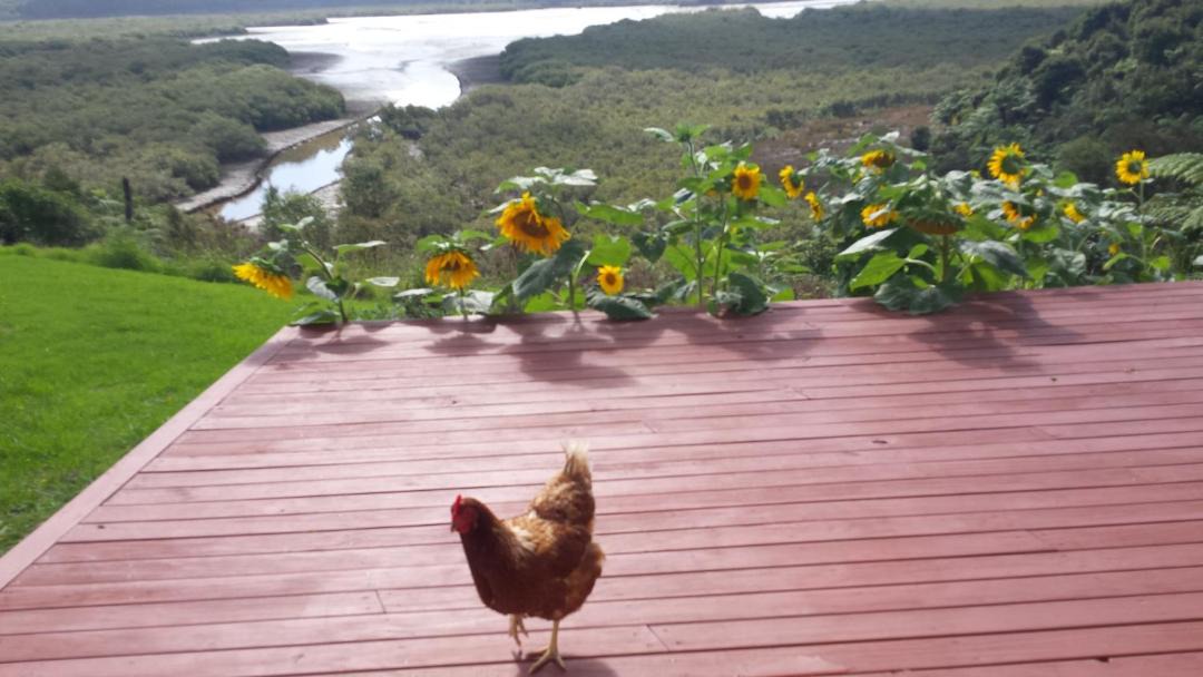 Photo of Others in Waikare