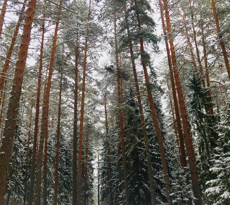 Photo of Others in Uleyma