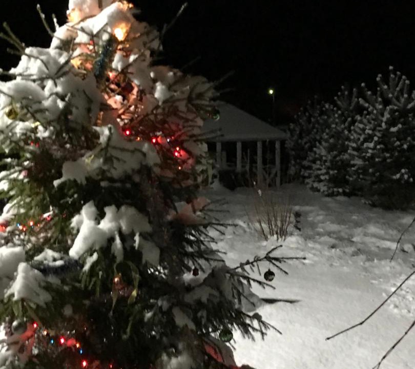 Photo of Buildings in Uleyma