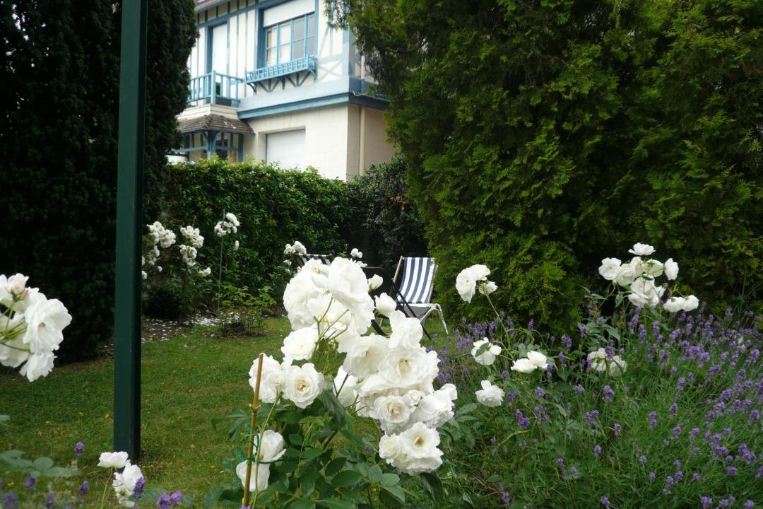 Photo of Others in Marcq-en-Baroeul