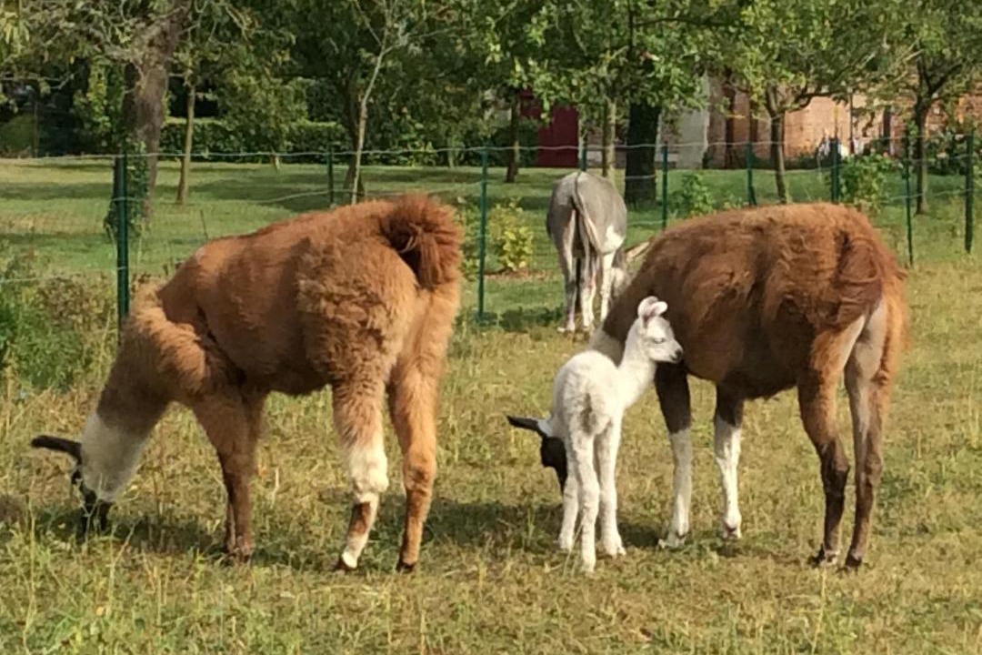 Photo of Others in Courcelles-sous-Moyencourt