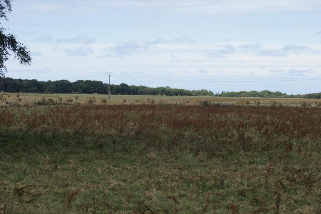 Photo of Others in Saint-Quentin-Lamotte-Croix-au-Bailly