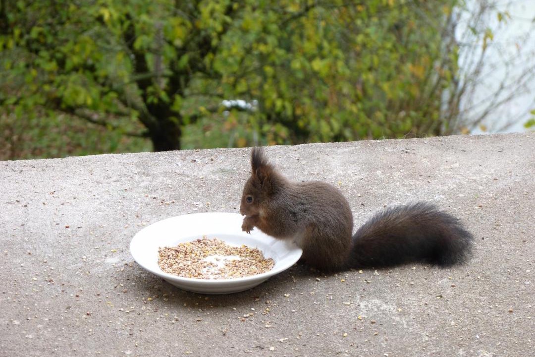 Photo of Others in Domecy-sur-Cure