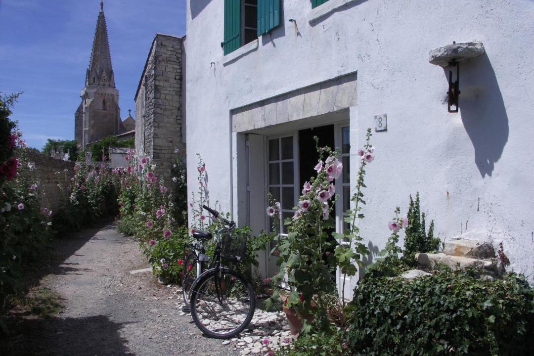 Photo of Others in La Couarde-sur-Mer